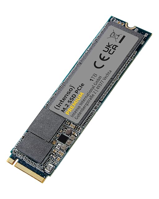 Intenso M.2 SSD PCIe Premium 1 TB NVMe drive in the 2280 length